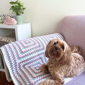 CROCHET PATTERN, Lottie and Lulu’s granny square blanket, cute crochet blanket pattern, granny square blanket pattern, digital download pdf