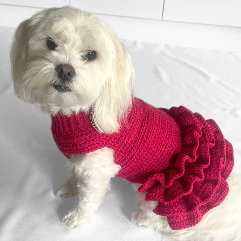 CROCHET PATTERN, Lottie and Lulus crochet dog dress, crochet dog sweater pattern, crochet dog tutu, pet jumper, crochet sweater dress, diy image 2