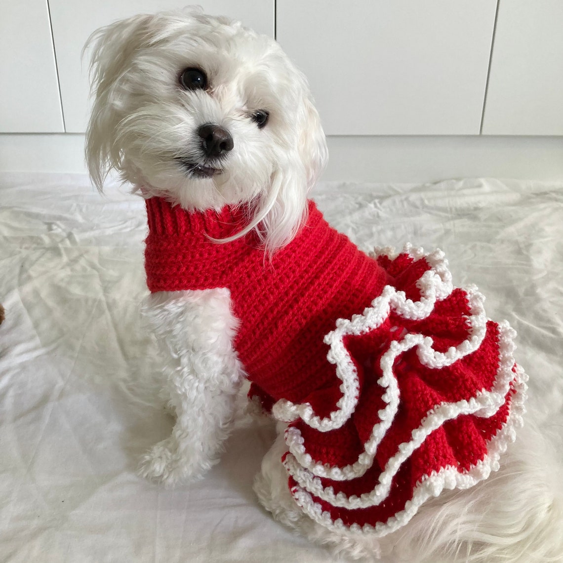 Crochet PATTERN Lottie and Lulus Christmas Tutu Crochet Dog Etsy