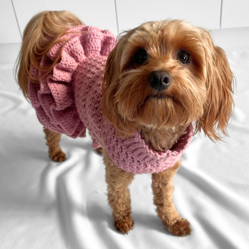 CROCHET PATTERN, crochet dog jumper, pet tutu, crochet dog sweater pattern, crochet puppy dress, crochet pet sweater, crochet for pets, cat image 9