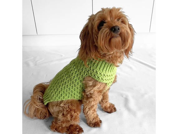 Dog Clothes Saco Tejido Para Perro Suéter Con Gorro Para Perros