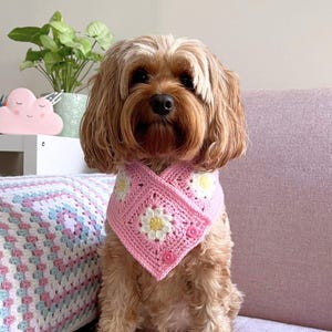 Häkelanleitung, Lottie und Lulu’s Gänseblümchen gehäkelter Haustierschal, gehäkelter Hundeschal, gehäkelter Katzenschal, gehäkeltes Haustier-Outfit, Geschenk für Haustier