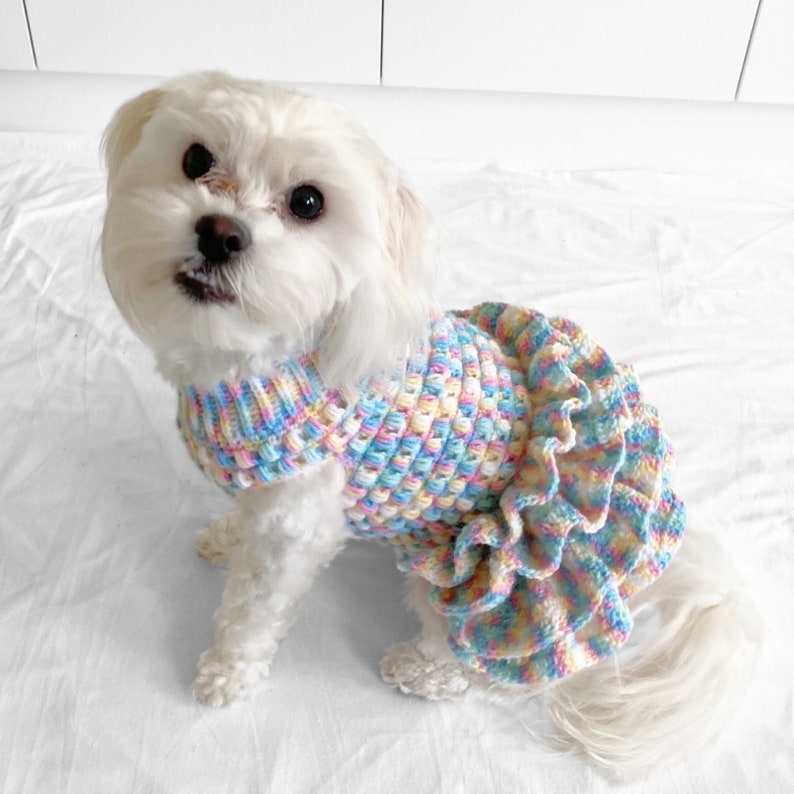 MOTIF au crochet, pull pour chien au crochet tutu au point soufflé de Lottie et Lulu, modèle de pull pour chien au crochet, robe pour chien au crochet, pull pour animaux de compagnie au crochet image 8