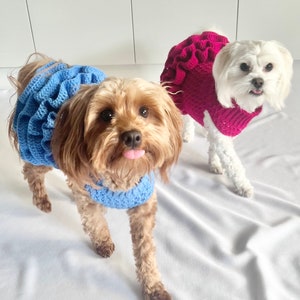 CROCHET PATTERN Crochet Dog Jumper Pet Tutu Crochet Dog - Etsy
