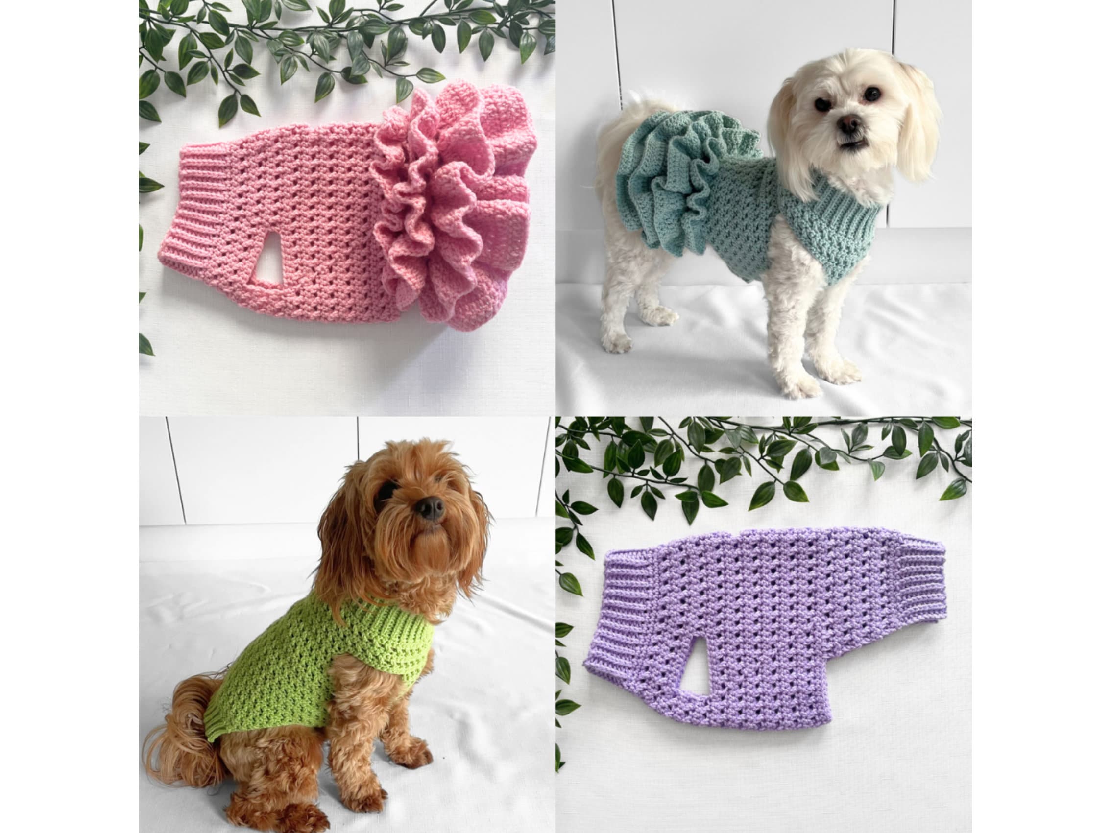 Modele pull chien crochet hotsell
