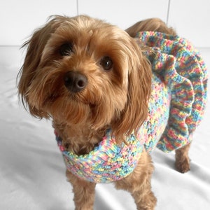 CROCHET PATTERN, crochet dog jumper, pet tutu, crochet dog sweater pattern, crochet puppy dress, crochet pet sweater, crochet for pets, cat image 5