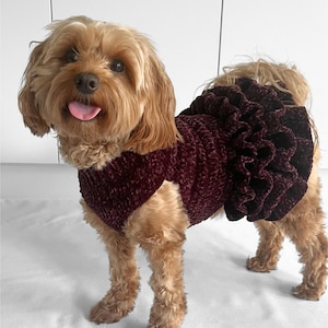 dog new years dress New Years Dog Dress