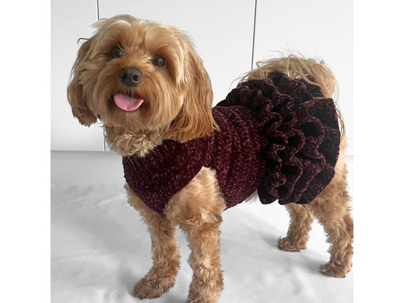 CROCHET PATTERN, Lottie and Lulu’s super snuggly tutu, crochet pet sweater pattern, diy dog dress, crochet pet jumper, sweater dress for pet