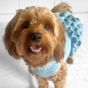 CROCHET PATTERN, Lottie and Lulus crochet dog dress, crochet dog sweater pattern, crochet dog tutu, pet jumper, crochet sweater dress, diy image 6