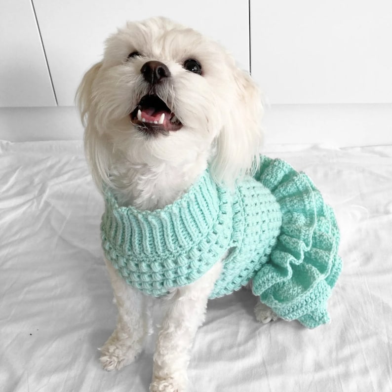 PATRÓN de ganchillo, jersey de perro de crochet con tutú de punto puff de Lottie y Lulu, patrón de suéter de perro de crochet, vestido de perro de crochet, suéter de mascota de crochet imagen 9