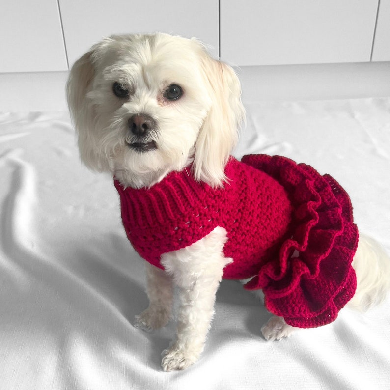 CROCHET PATTERN, crochet dog jumper, pet tutu, crochet dog sweater pattern, crochet puppy dress, crochet pet sweater, crochet for pets, cat image 3