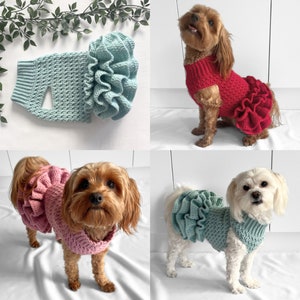 CROCHET PATTERN, crochet dog jumper, pet tutu, crochet dog sweater pattern, crochet puppy dress, crochet pet sweater, crochet for pets, cat image 1