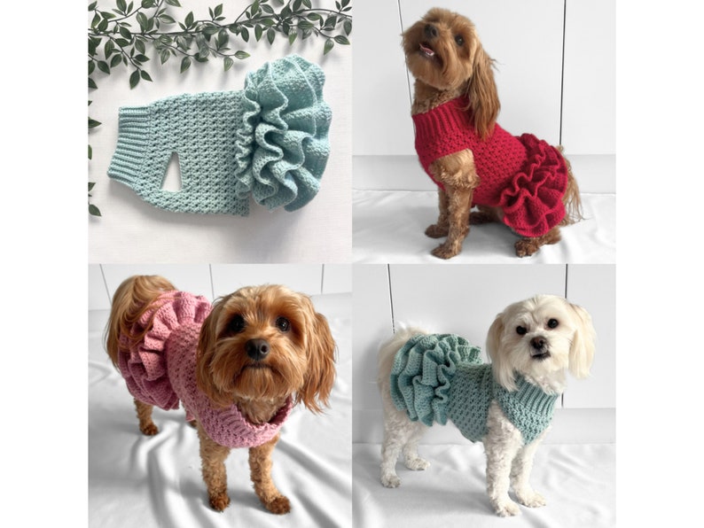 CROCHET PATTERN, crochet dog jumper, pet tutu, crochet dog sweater pattern, crochet puppy dress, crochet pet sweater, crochet for pets, cat image 1