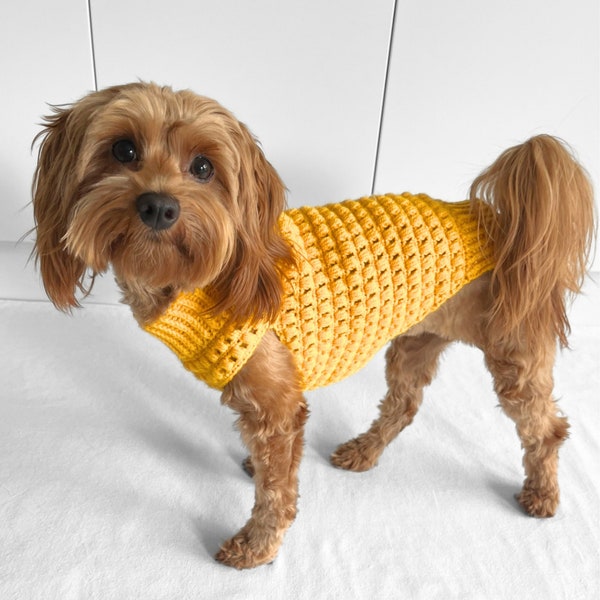 PATRÓN DE CROCHET, patrón de crochet de jersey de punto puff de Lottie y Lulus, jersey de perro, suéter de perro de ganchillo, patrón de ganchillo de mascota, descarga digital