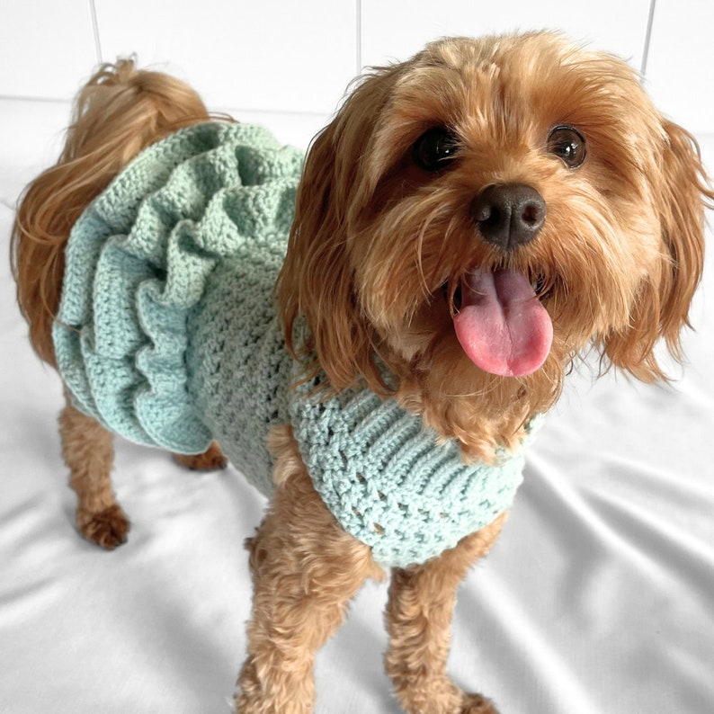 CROCHET PATTERN, crochet dog jumper, pet tutu, crochet dog sweater pattern, crochet puppy dress, crochet pet sweater, crochet for pets, cat image 2