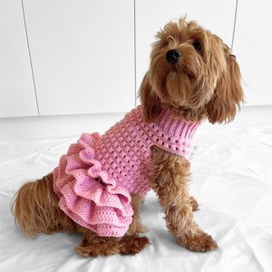 PATRÓN de ganchillo, jersey de perro de crochet con tutú de punto puff de Lottie y Lulu, patrón de suéter de perro de crochet, vestido de perro de crochet, suéter de mascota de crochet imagen 1