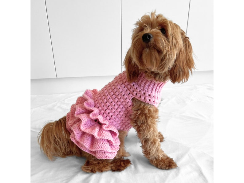 PATRÓN de ganchillo, jersey de perro de crochet con tutú de punto puff de Lottie y Lulu, patrón de suéter de perro de crochet, vestido de perro de crochet, suéter de mascota de crochet imagen 1