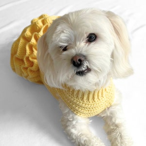 CROCHET PATTERN, Lottie and Lulus crochet dog dress, crochet dog sweater pattern, crochet dog tutu, pet jumper, crochet sweater dress, diy image 10