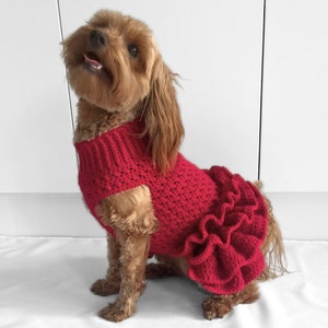 CROCHET PATTERN, crochet dog jumper, pet tutu, crochet dog sweater pattern, crochet puppy dress, crochet pet sweater, crochet for pets, cat image 7