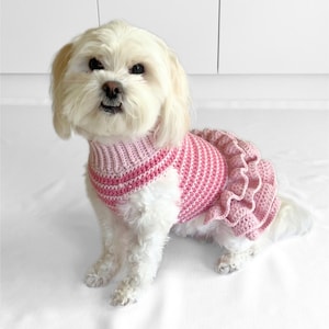 May include: A small white dog wearing a pink crocheted dress with a ruffled skirt.