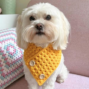 かぎ針編みのパターン、ロッティーとルルのパフステッチのペット用スカーフ、かぎ針編みの犬用スカーフのパターン、かぎ針編みの猫用スカーフのパターン、ペット用衣装、ペットへの贈り物