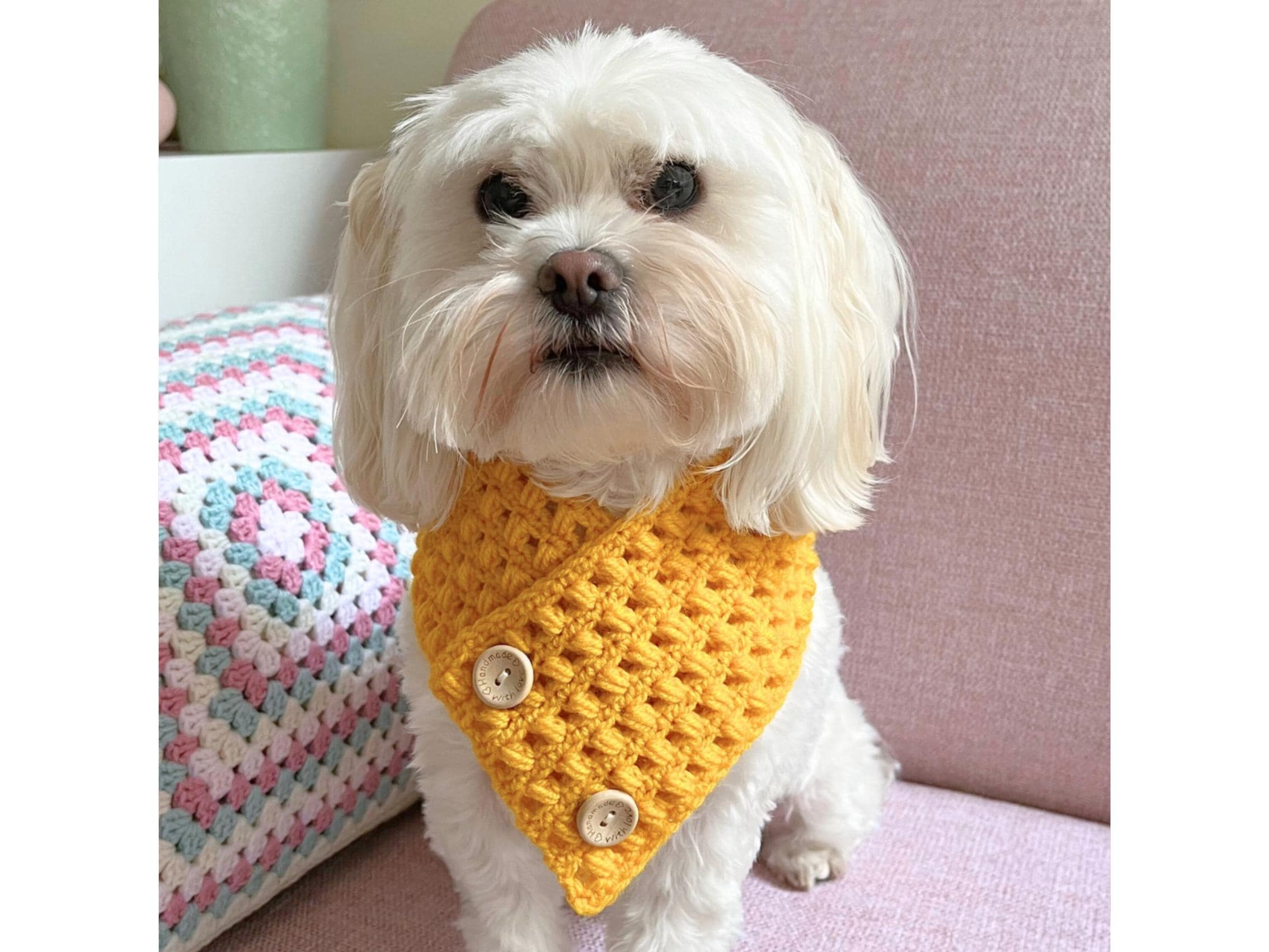 Lottie's Free Crochet Dog Sweaters Coat Pattern Free Crochet