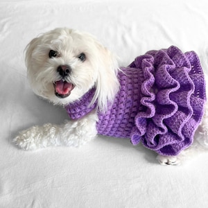 PATRÓN de ganchillo, jersey de perro de crochet con tutú de punto puff de Lottie y Lulu, patrón de suéter de perro de crochet, vestido de perro de crochet, suéter de mascota de crochet imagen 3