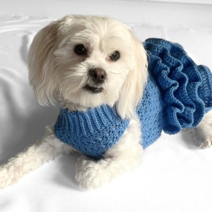 CROCHET PATTERN, crochet dog jumper, pet tutu, crochet dog sweater pattern, crochet puppy dress, crochet pet sweater, crochet for pets, cat image 6