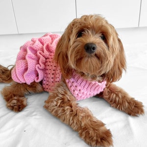 PATRÓN de ganchillo, jersey de perro de crochet con tutú de punto puff de Lottie y Lulu, patrón de suéter de perro de crochet, vestido de perro de crochet, suéter de mascota de crochet imagen 5