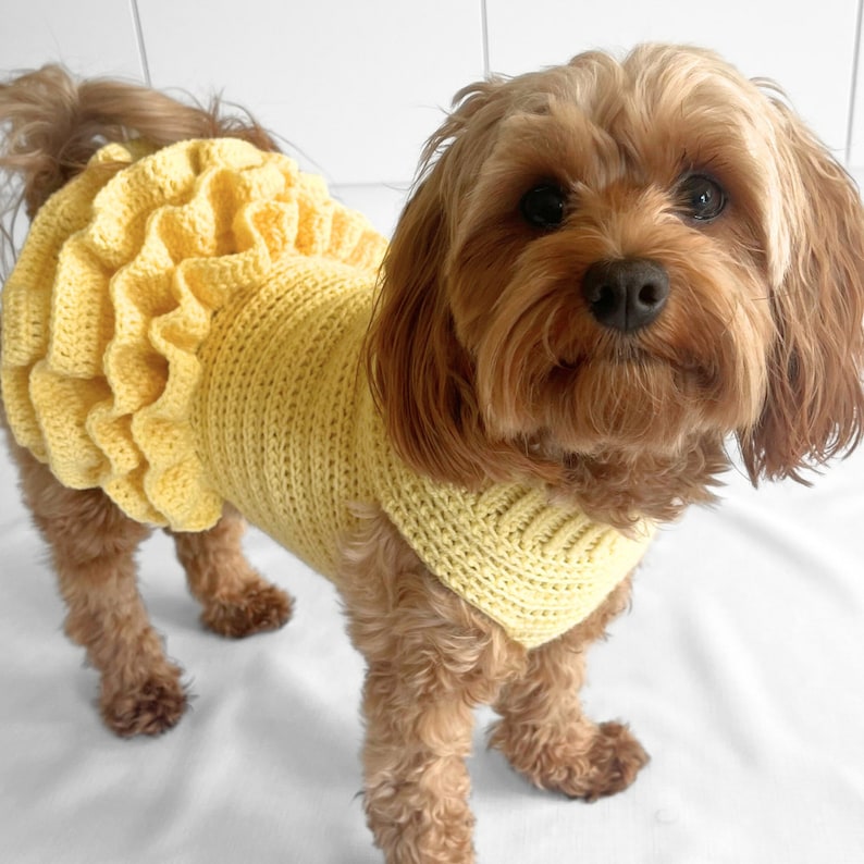 CROCHET PATTERN, Lottie and Lulus crochet dog dress, crochet dog sweater pattern, crochet dog tutu, pet jumper, crochet sweater dress, diy image 3