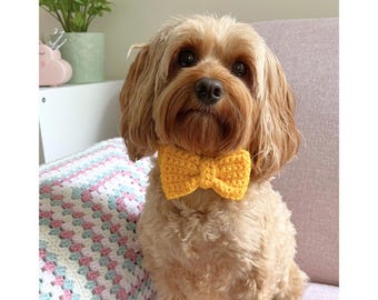 Crochet pattern, Lottie and Lulu’s crochet pet bow tie, crochet dog bow tie pattern, crochet cat bow tie pattern, gift for pet, crochet bow
