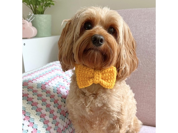 crochet dog tie