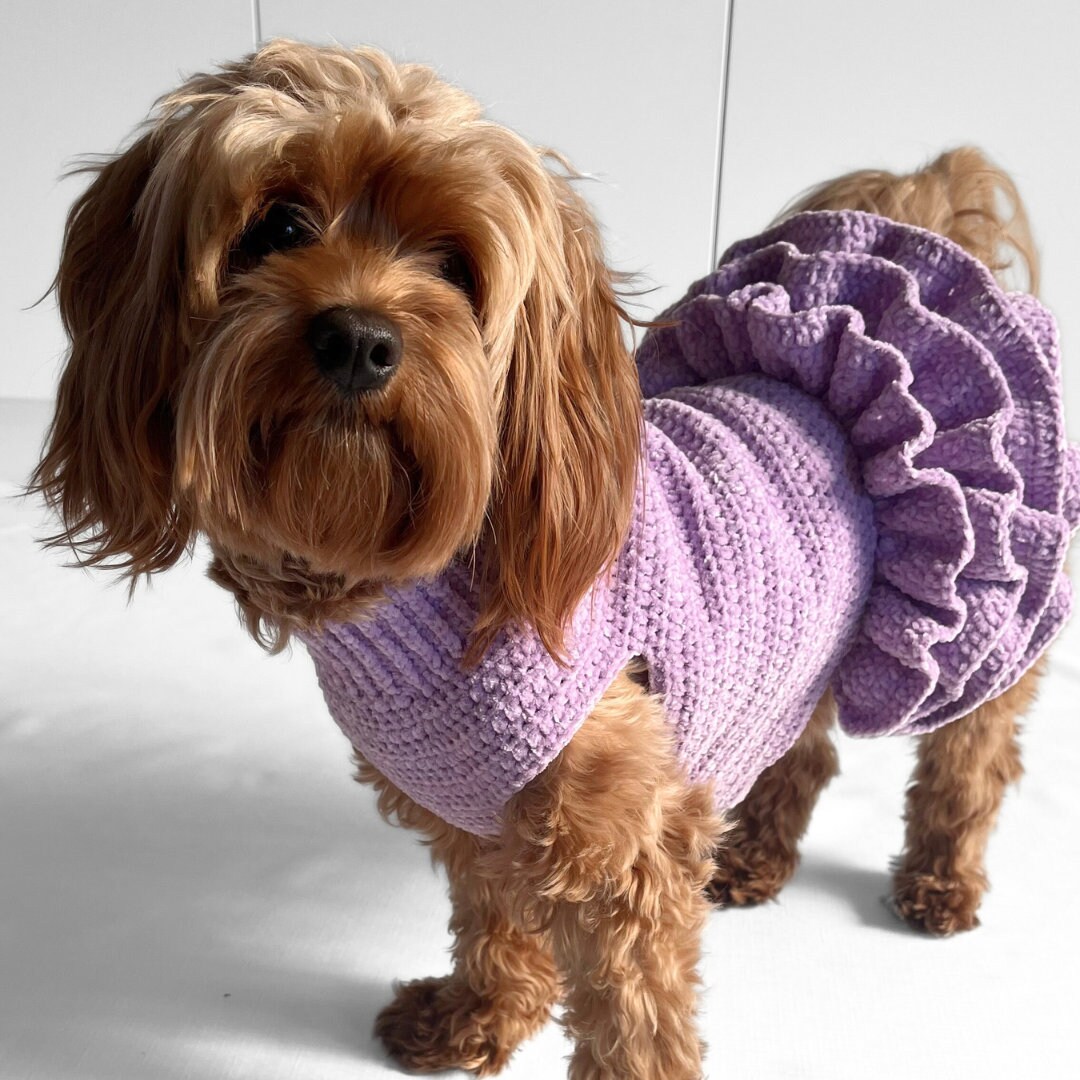 CROCHET PATTERN, Crochet Dog Dress, Dog Sweater Pattern, Crochet Tutu, Crochet  Pet Sweater, Cat Jumper, Diy Pet Sweater, Velvet Sweater - Etsy