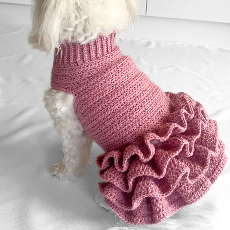 CROCHET PATTERN, Lottie and Lulus crochet dog dress, crochet dog sweater pattern, crochet dog tutu, pet jumper, crochet sweater dress, diy image 7