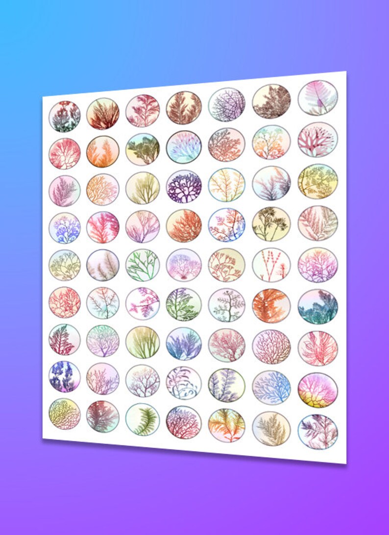 Marine Algae Collage Sheet - Etsy