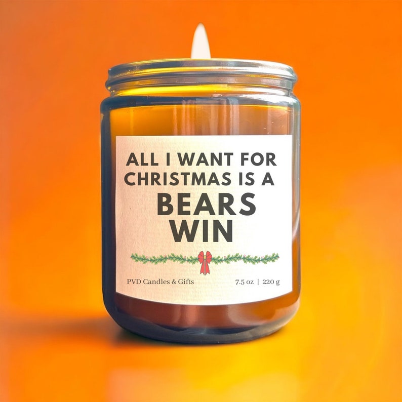 Chicago Bears Christmas Gift for Fan Home Decor Football Etsy UK