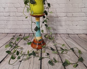 Satin Pothos (Scindapsus pictus)