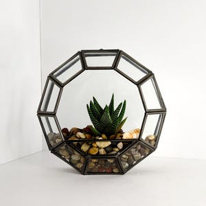 Circle Geometric Glass Terrarium | Succulent Terrarium | Hanging Terrarium | House Plant Decor | Perfect Gift for Plant Lovers