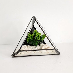 Triangle Geometric Glass Terrarium | Succulent Terrarium | Cactus Terrarium | House Plant Decor | Perfect Gift for Plant Lovers