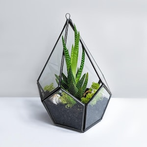 Teardrop Geometric Glass Terrarium | Succulent Terrarium | Hanging Terrarium | House Plant Decor | Perfect Gift for Plant Lovers