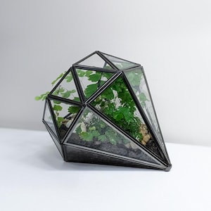 Diamond Geometric Glass Terrarium | Succulent Terrarium | Cactus Terrarium | House Plant Decor | Perfect Gift for Plant Lovers