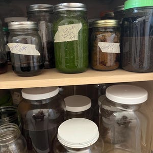 May include: A wooden shelf filled with various glass jars. Some jars contain dark liquids, while others hold green and brown substances. Labels on the jars read "Oregon Grape," "Catnip 6/22/24 gly," and "Calendula 7/19."