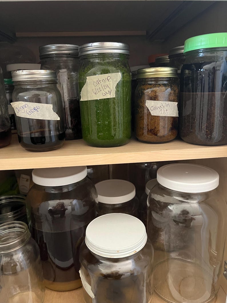 May include: A wooden shelf filled with various glass jars. Some jars contain dark liquids, while others hold green and brown substances. Labels on the jars read "Oregon Grape," "Catnip 6/22/24 gly," and "Calendula 7/19."