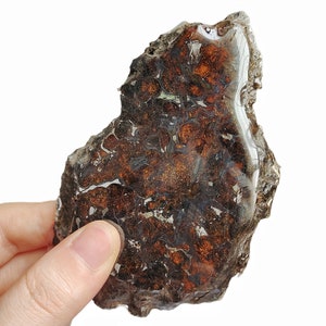 110.8g Sericho Pallasite Meteorite from Kenya Africa Habaswein Part Slice (Large thickness of the original stone) QA179