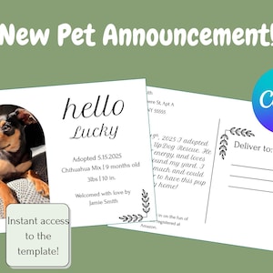 Editable Dog Cat Pet Announcement Postcard Template | Mailer | Canva Pet Adoption Reveal | Pet Registry | Black & White Postcard