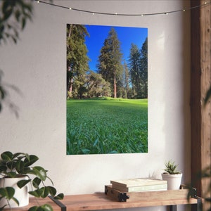 Redwoods Golf Poster