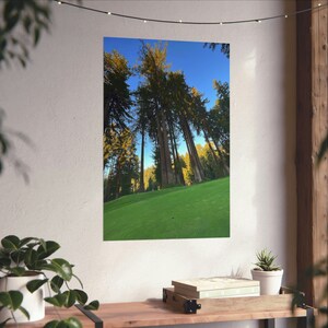 Redwoods Golf Poster