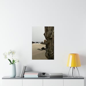 California Beaches Poster