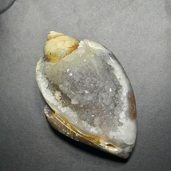 1Pair Madagascar Sea Natural Druzy Ammonite Slice Shell Gemstone Specimen Gift E - Foto 6