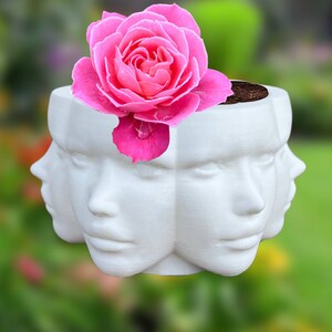 3D Printed Polyface Planter